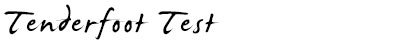 Tenderfoot Test